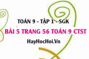 Bài 5 trang 56 Toán 9 tập 1 Chân trời sáng tạo